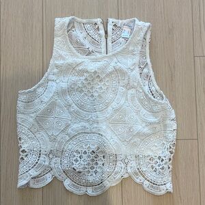 Revamped White Lace Crop Top